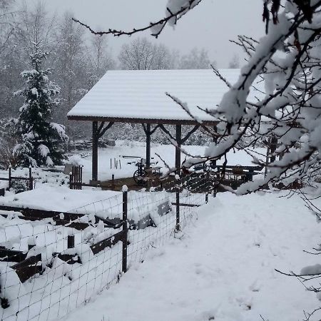 Agroturystyka U Maciejowej Villa Lanckorona Exteriör bild