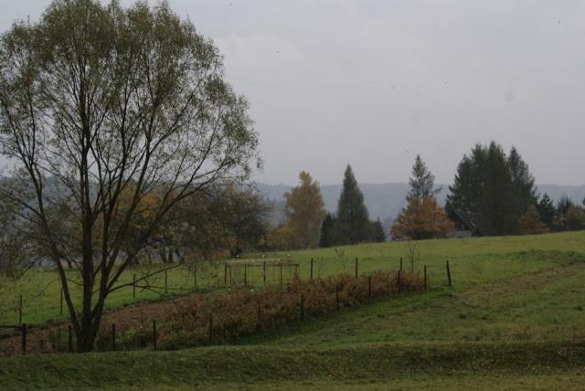 Agroturystyka U Maciejowej Villa Lanckorona Exteriör bild